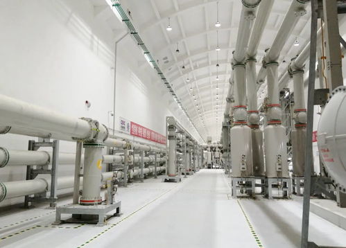 屢屢突破，走向世界——?？藗愃闺姎獾娜蛘鞒? />
</a>
<span><a href=